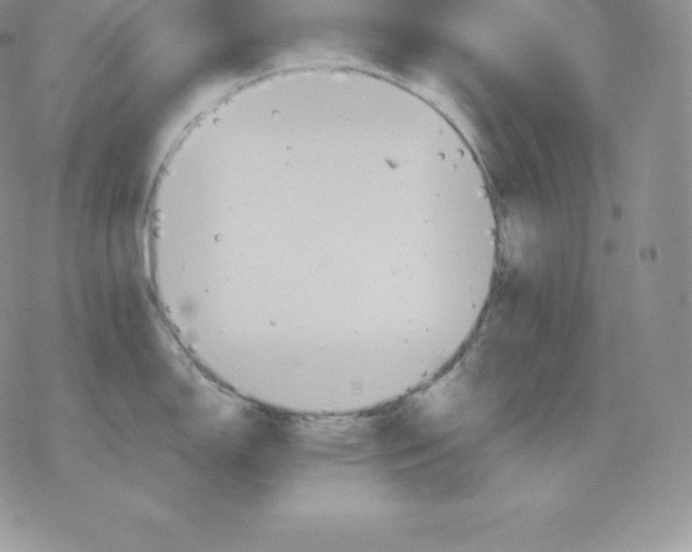 X0000077321150200611171736