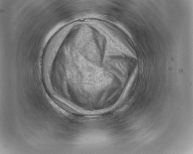 X0000077321151200611171736