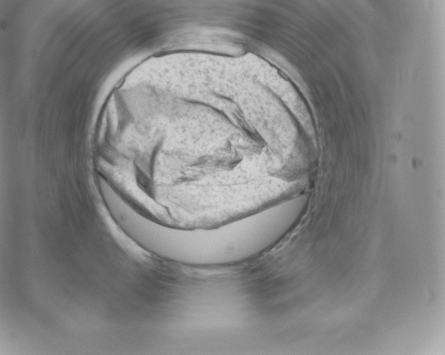 X0000077321152200611171736