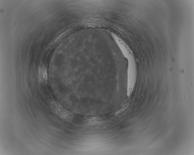 X0000077321155200611171735