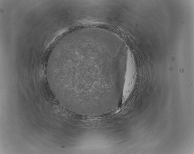 X0000077321157200611171735