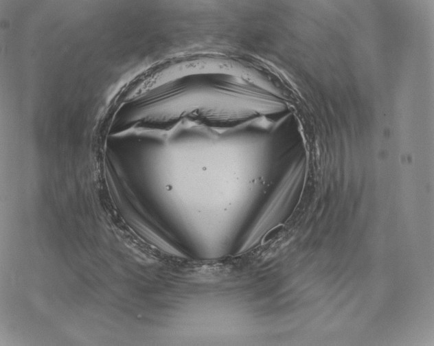 X0000077321160200611171735