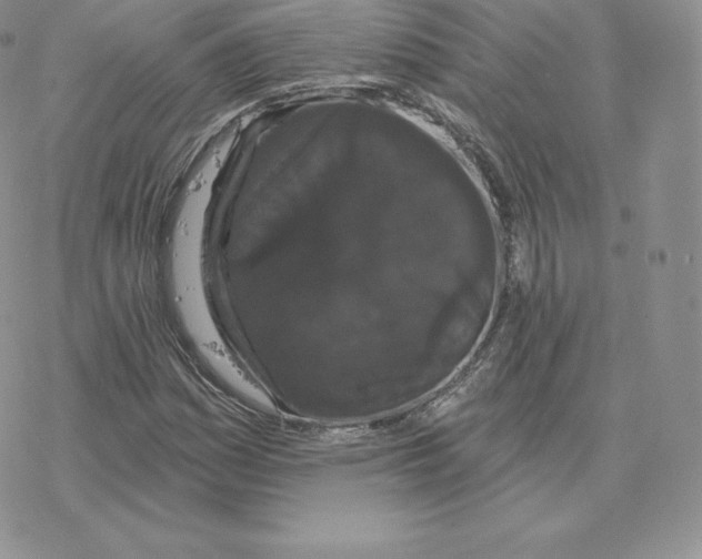 X0000077321161200611171735