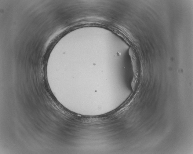 X0000077321164200611171735