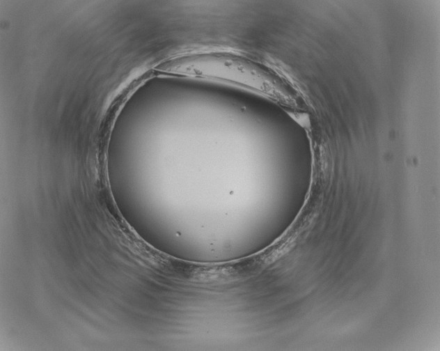 X0000077321165200611171735