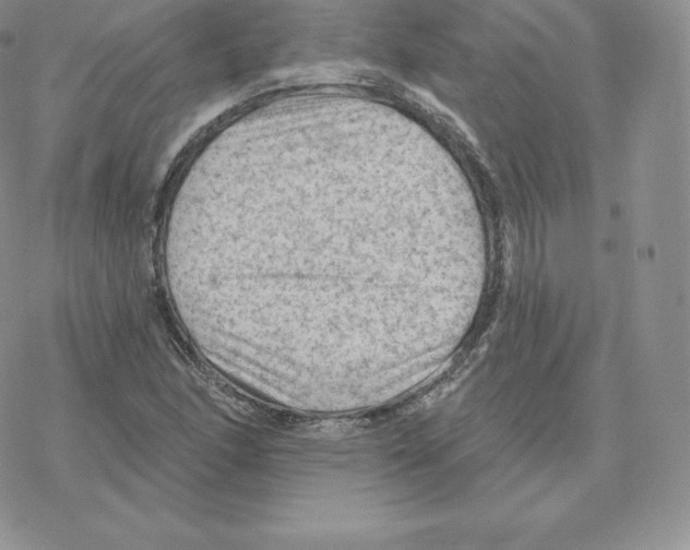 X0000077321166200611171735