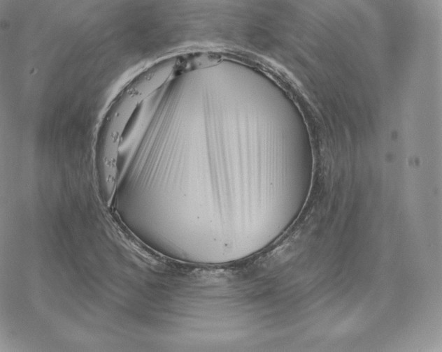 X0000077321168200611171735