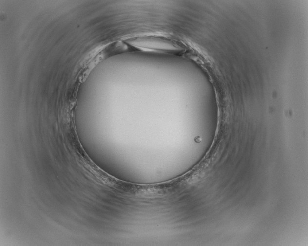 X0000077321169200611171735