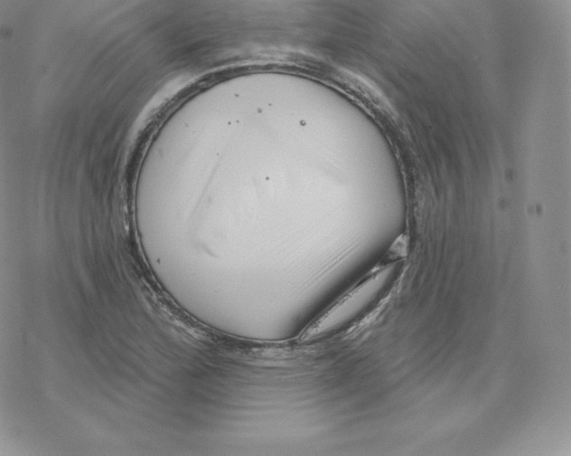 X0000077321172200611171735