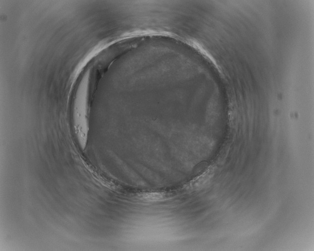 X0000077321173200611171735