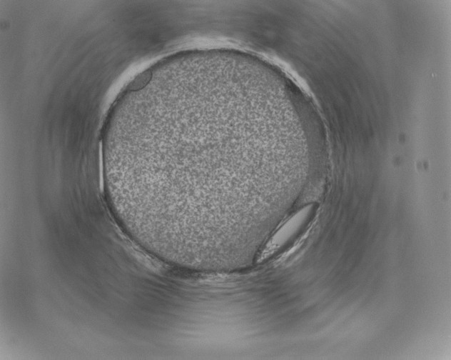 X0000077321175200611171735