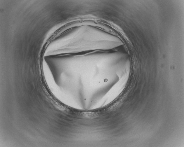 X0000077321176200611171735