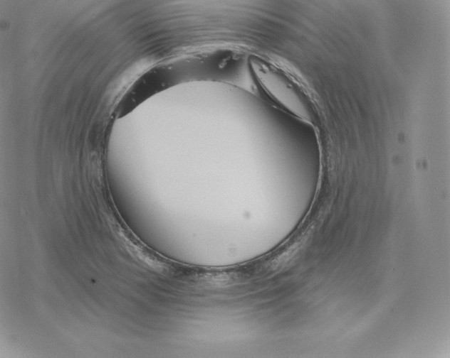 X0000077321177200611171735