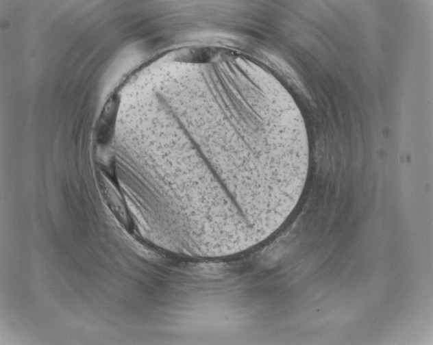 X0000077321180200611171735