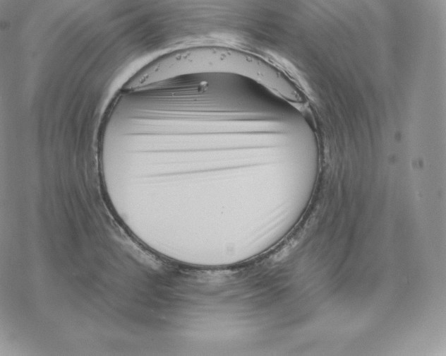 X0000077321184200611171735