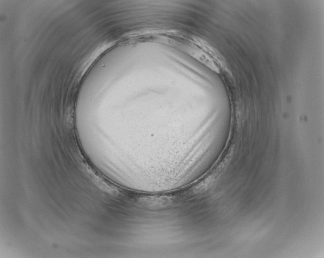 X0000077321185200611171735