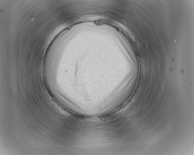 X0000077321186200611171735