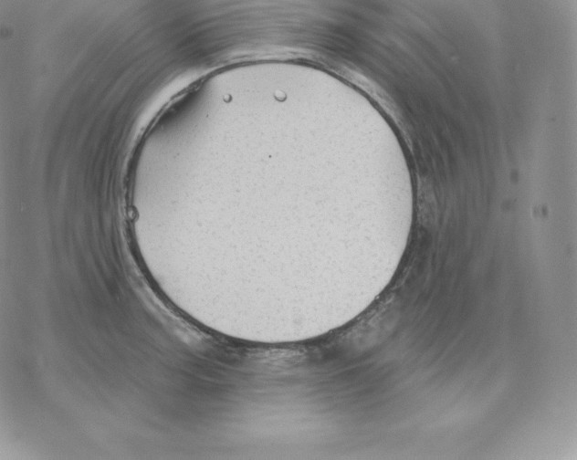 X0000077321187200611171735