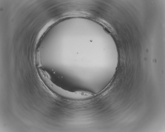 X0000077321188200611171735