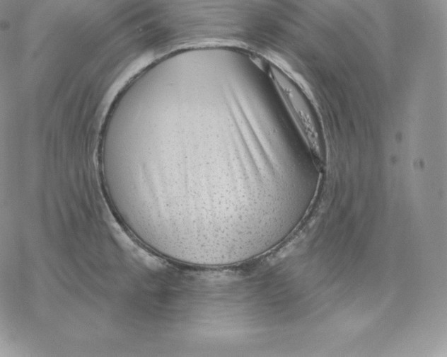 X0000077321189200611171735