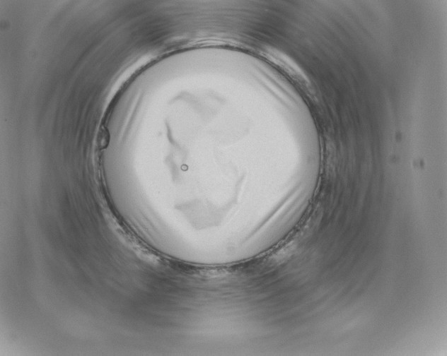 X0000077321190200611171735