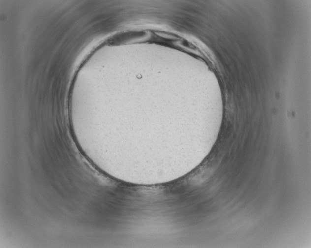 X0000077321191200611171735