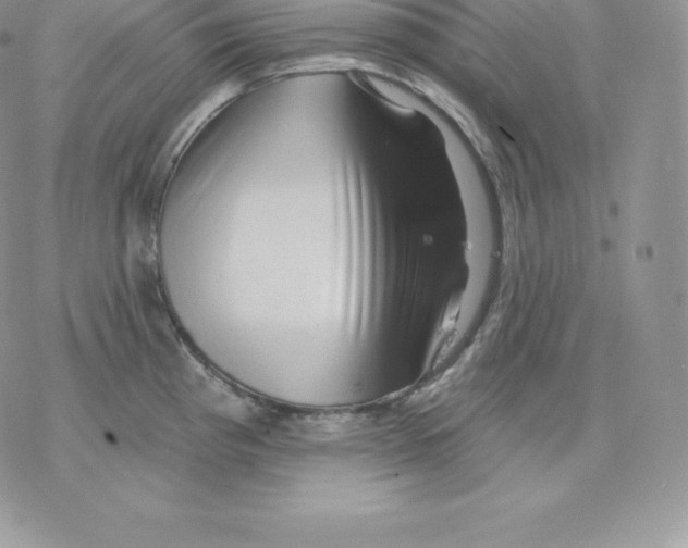 X0000077321193200611171735