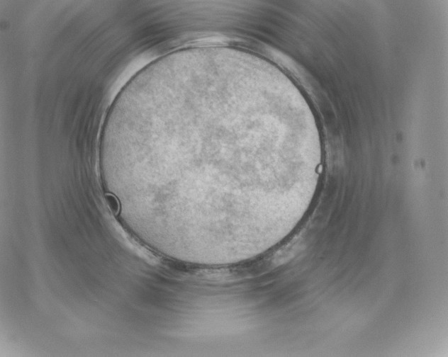 X0000077321194200611171735