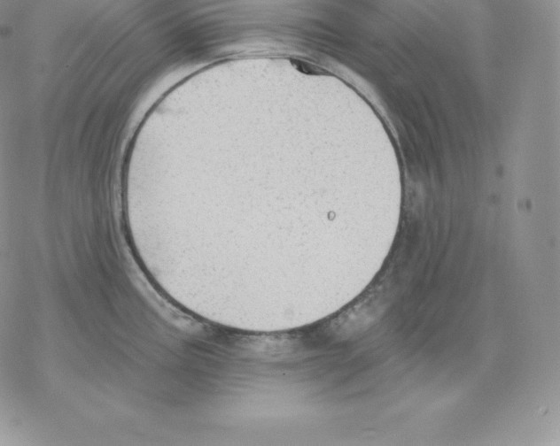 X0000077321195200611171735