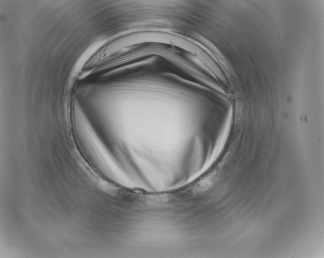 X0000077321196200611171734