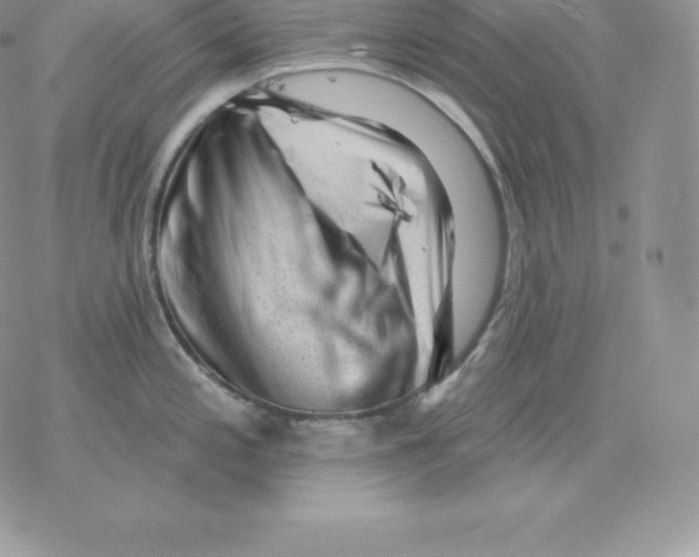 X0000077321197200611171734