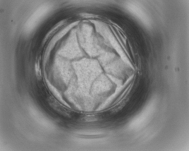 X0000077321198200611171734