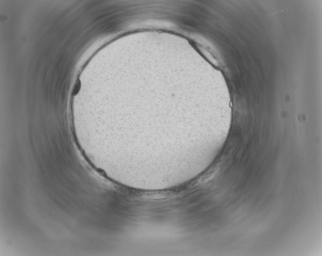 X0000077321199200611171734