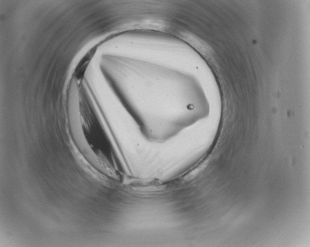 X0000077321200200611171734