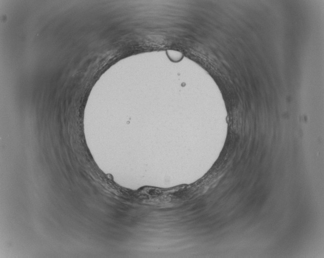 X0000077321201200611171734