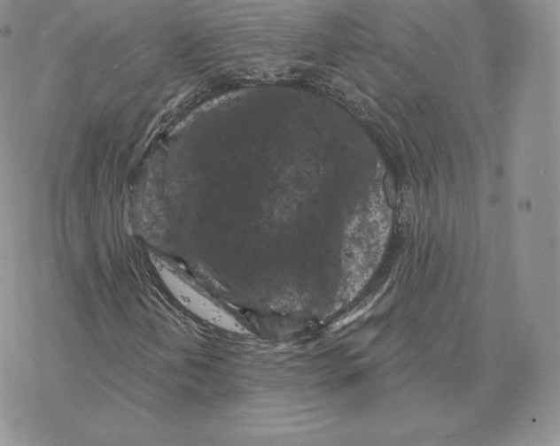 X0000077321202200611171734