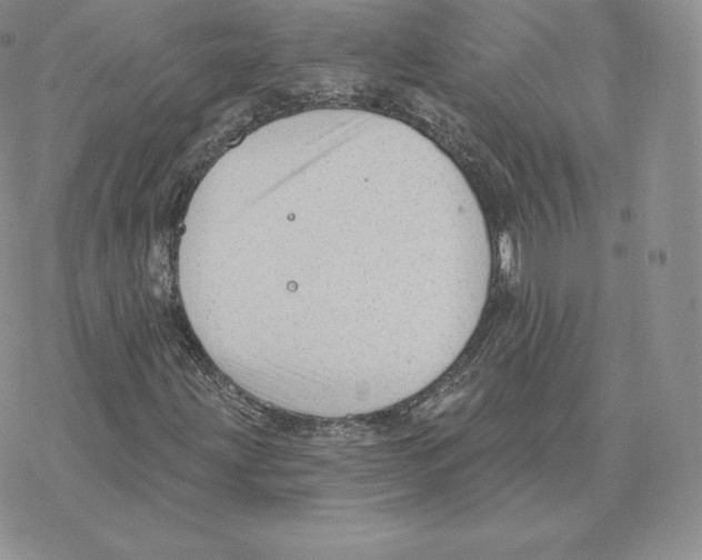 X0000077321203200611171734