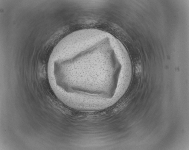 X0000077321204200611171734