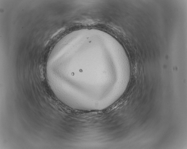 X0000077321205200611171734