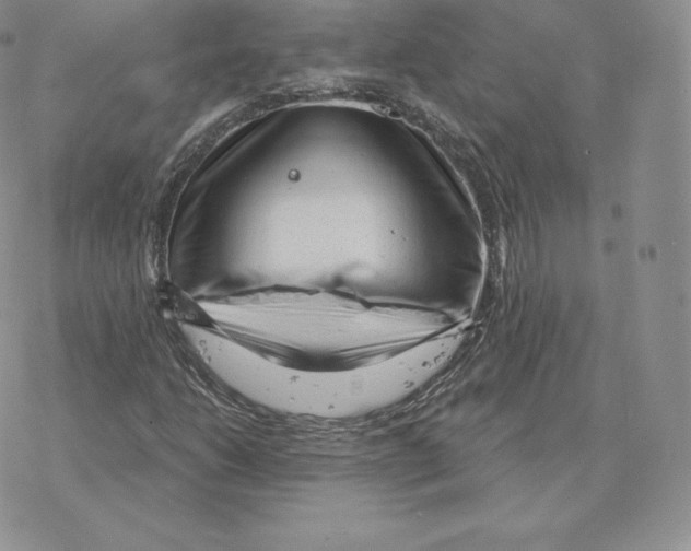 X0000077321206200611171734