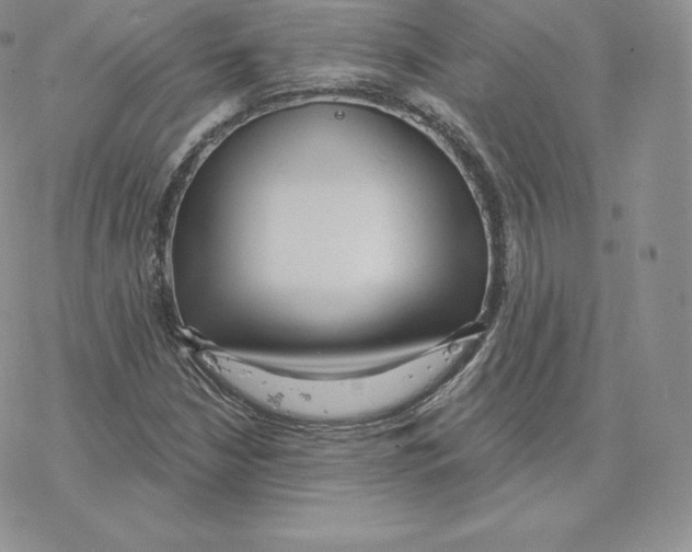 X0000077321210200611171734