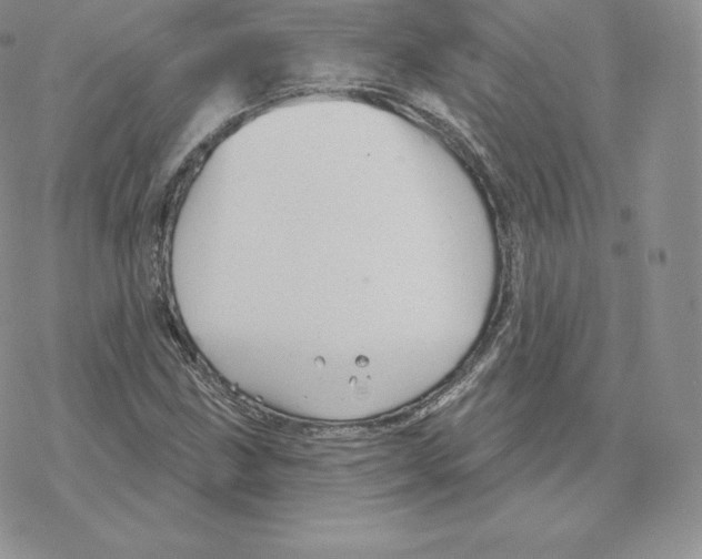 X0000077321211200611171734