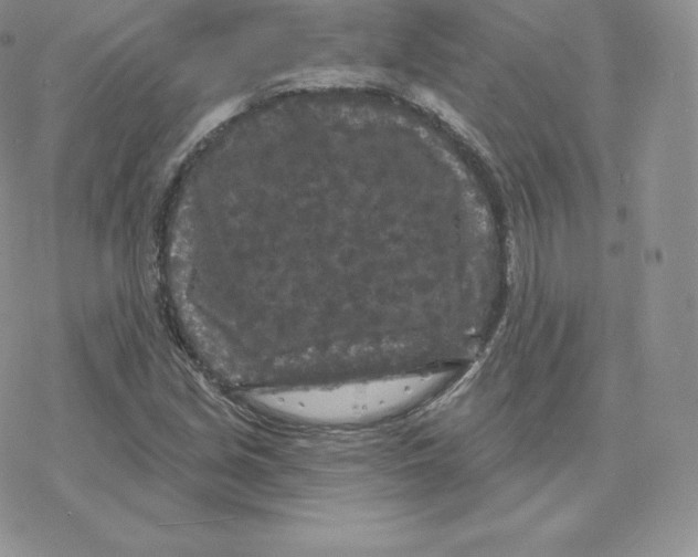 X0000077321213200611171734