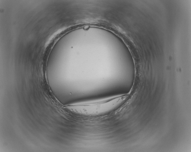 X0000077321214200611171734