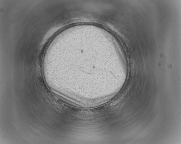 X0000077321215200611171734