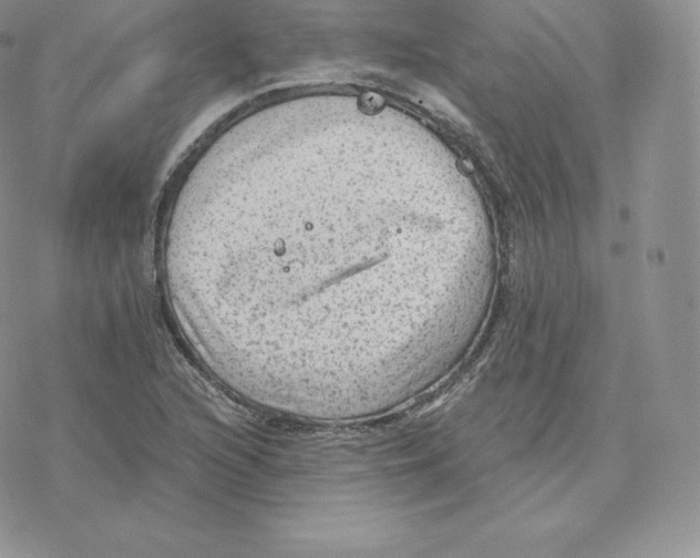 X0000077321216200611171734