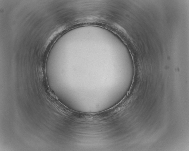 X0000077321218200611171734