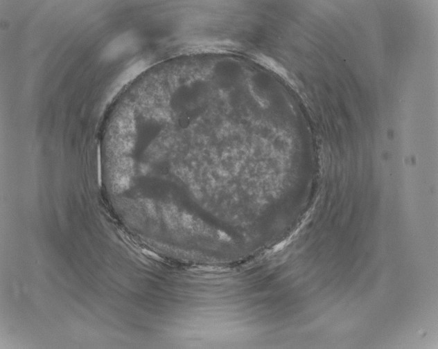 X0000077321219200611171734