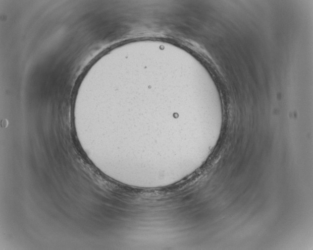 X0000077321220200611171734