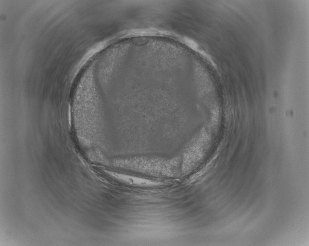 X0000077321221200611171734